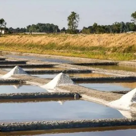 Les Pivoines Climatise, Proximite Et Foret Nyaraló Saint-Hilaire-de-Riez