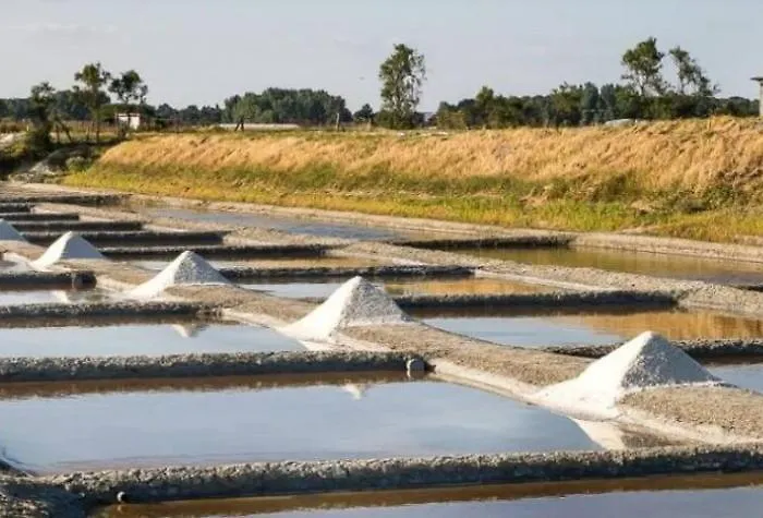 Les Pivoines Climatise, Proximite Et Foret 펜션 생 힐레르 드 리에